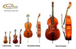 Разновидность струнно-смычковых: скрипка, альт, виолончель, контрабас