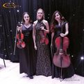 Lastara - струнно-скрипичное трио из Киева на свадьбу, корпоратив, мероприятия