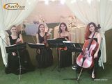 Lastara - струнно-скрипичный квартет из Киева на свадьбу, корпоратив, мероприятия