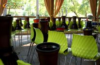 Тренер Drum Circle/Барабанный круг Виталий Федоров на в Киеве Тренер Drum Circle/Барабанный круг Виталий Федоров на в Киеве