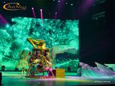 Девушка-каучук Анастасия в Азии на концерте