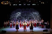 Украинский ансамбль "Божедары" на юбилее, дне рождении в Киеве