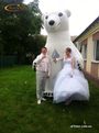 Ростовая кукла Белый Медведь на свадьбе с Женихом и невестой в Киеве