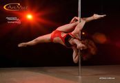 Номер pole dance Анастасии на конкурсе "Шарм"