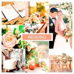Свадьба в персиково-белом цвете платье невесты, торт, украшения цветы, пригласительные