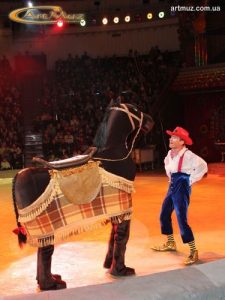 Эстрадно-цирковая кукла Танцующая лошадь на свадьбу, корпоратив, детские праздник в Киеве
