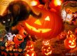 Організація, проведення у Києві Halloween, вечірки до Дня Усіх Святих