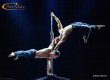Акробатичний дует pole dance з Київа "DuoNotBrothers" на корпоратив, свято, бізнес-заходи